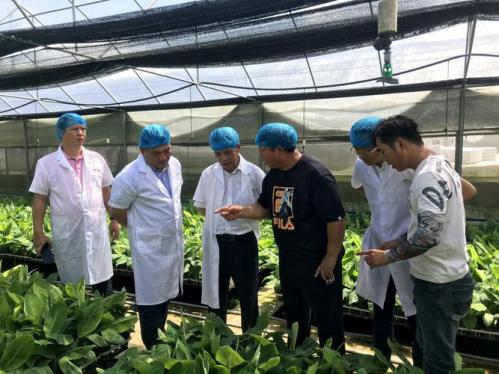 唐山欣悦医药连锁有限公司怎么样?